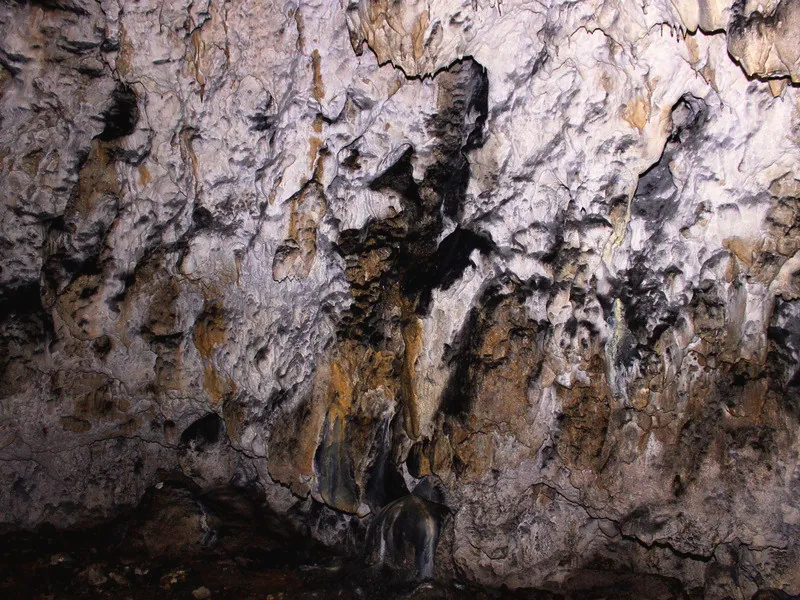 Peretele Peșterii Polovragi, cu scurgeri de calcar și urme de fier