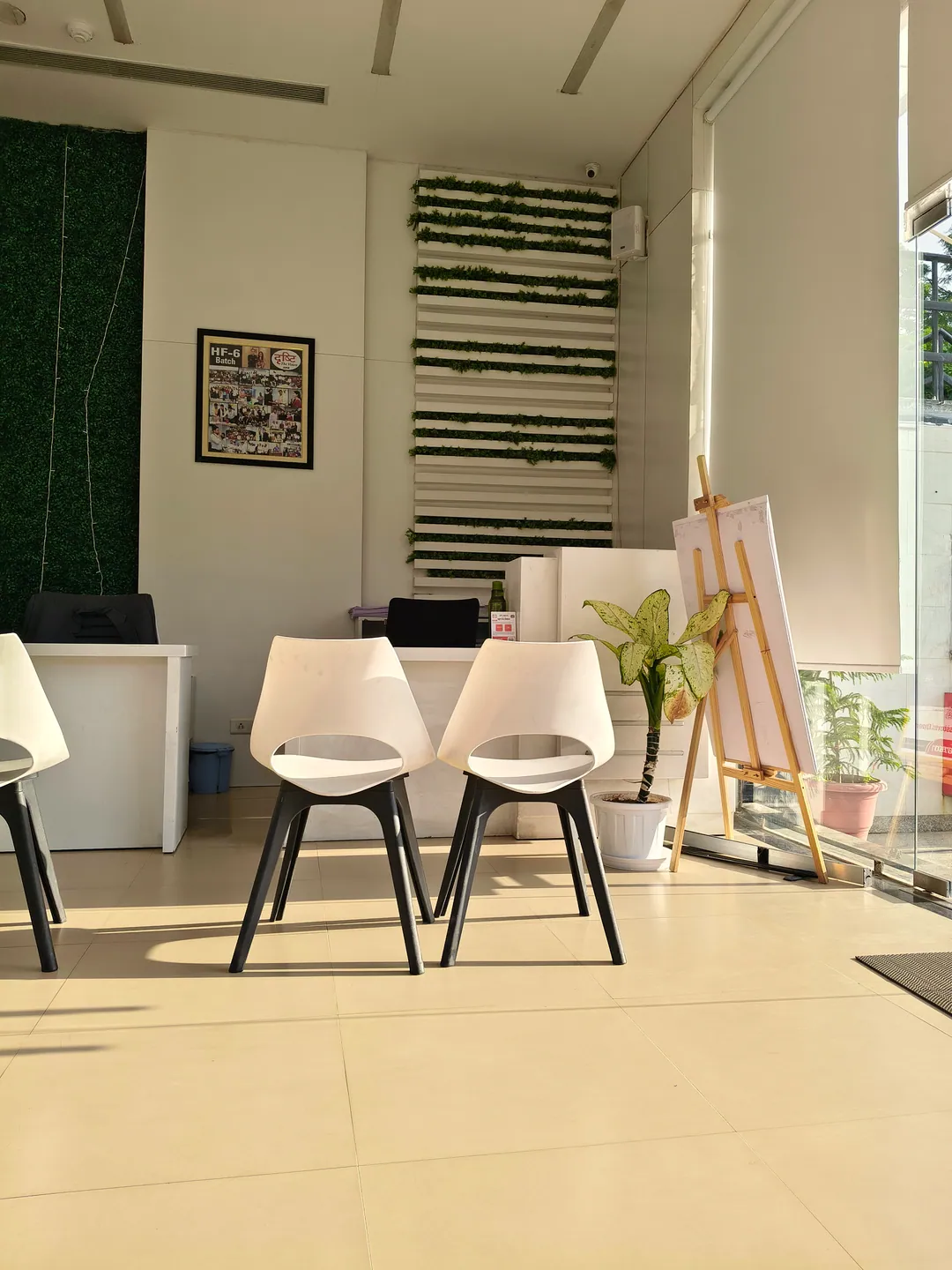 White shell chairs, plants and a desk in a bright, daylit office reception