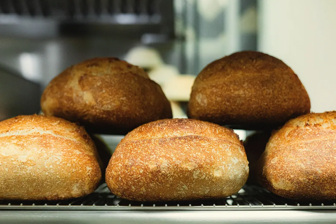 Golden loaves lined up on a wire rack