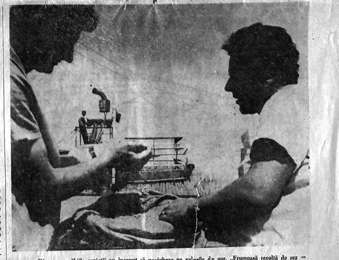 Fotografie de pe prima pagină a ziarului Înainte, 2 iulie 1965: doi bărbați cercetează boabe de orz dintr-un sac, cu o combină în fundal.