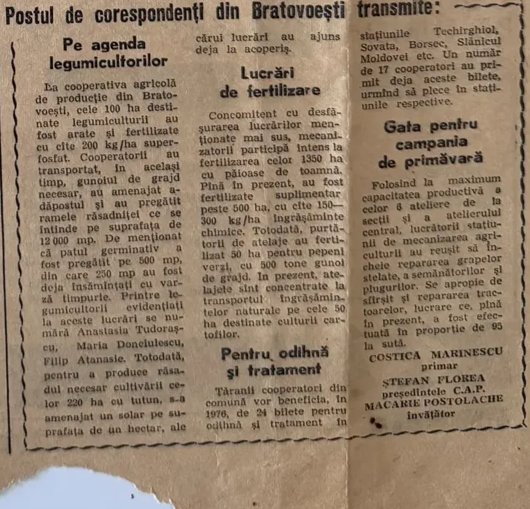 Decupaj din Înainte, 8 februarie 1976, pagina 3: „Postul de corespondenți din Bratovoești transmite”, cu nota despre fertilizarea a 50 ha pentru pepeni verzi.