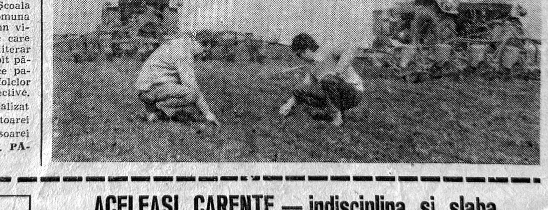 Fotografie de pe prima pagină a ziarului Înainte, 19 aprilie 1981: doi bărbați aplecați pe ogor verifică semănatul, cu tractoare în fundal.