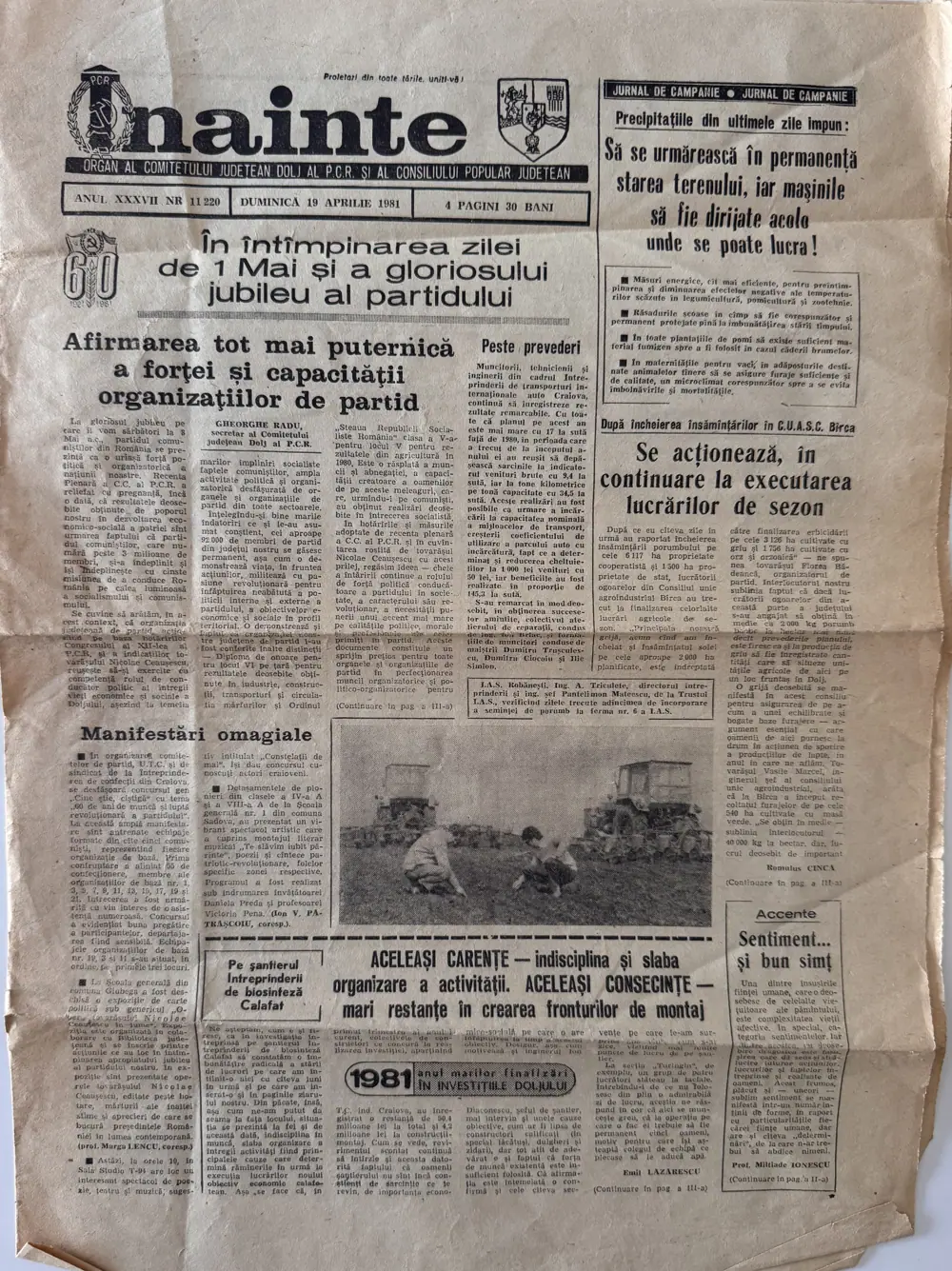 Înainte, duminică 19 aprilie 1981, pagina 1 — Fotografia de la I.A.S. Robănești, ferma nr. 6