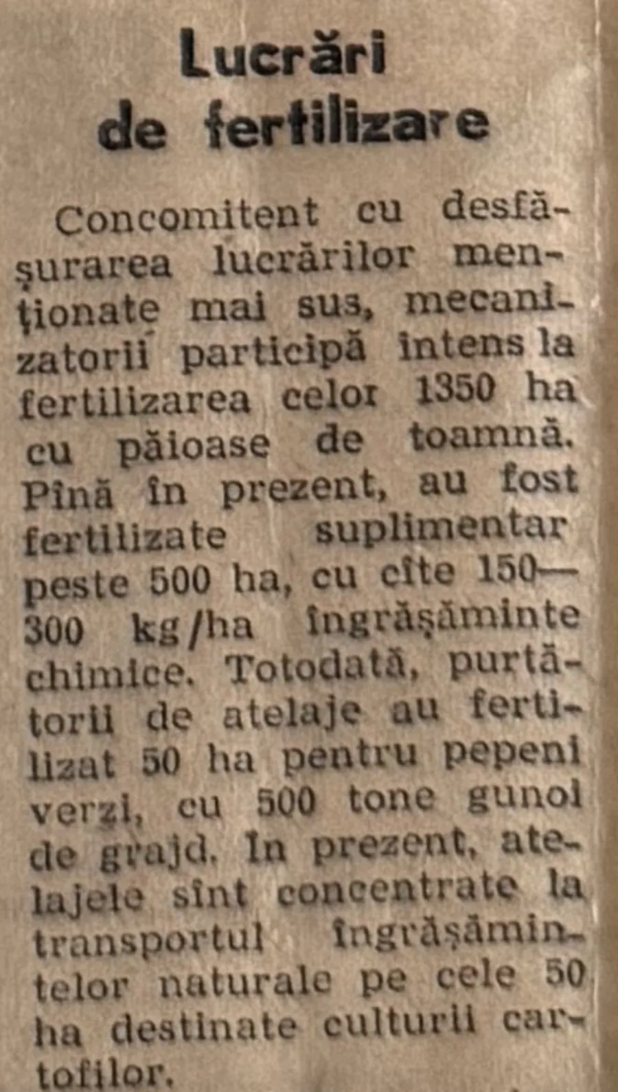 Tăietură din Înainte, 8 februarie 1976: Lucrări de fertilizare la C.A.P. Bratovoești, 50 ha pentru pepeni verzi cu 500 tone gunoi de grajd