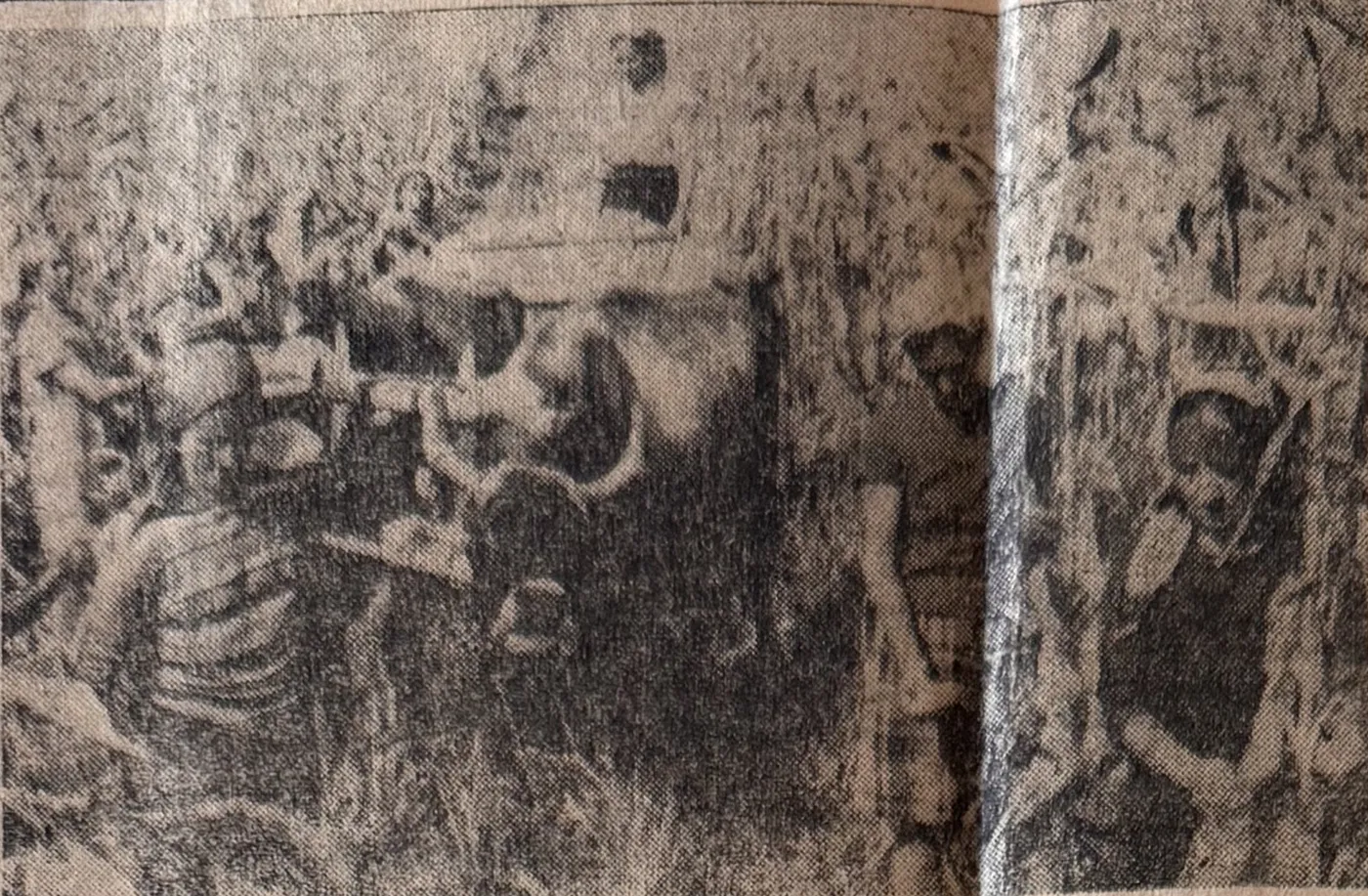 Fotografie din Înainte, 24 septembrie 1983: car cu boi încărcat cu porumb la C.A.P. Fărcașu
