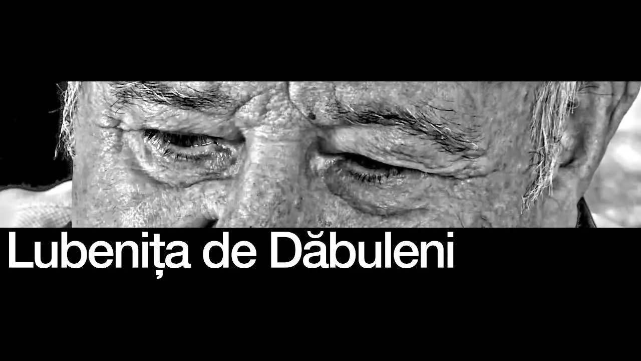 Cadru din interviul Digi 24 Craiova, 2017