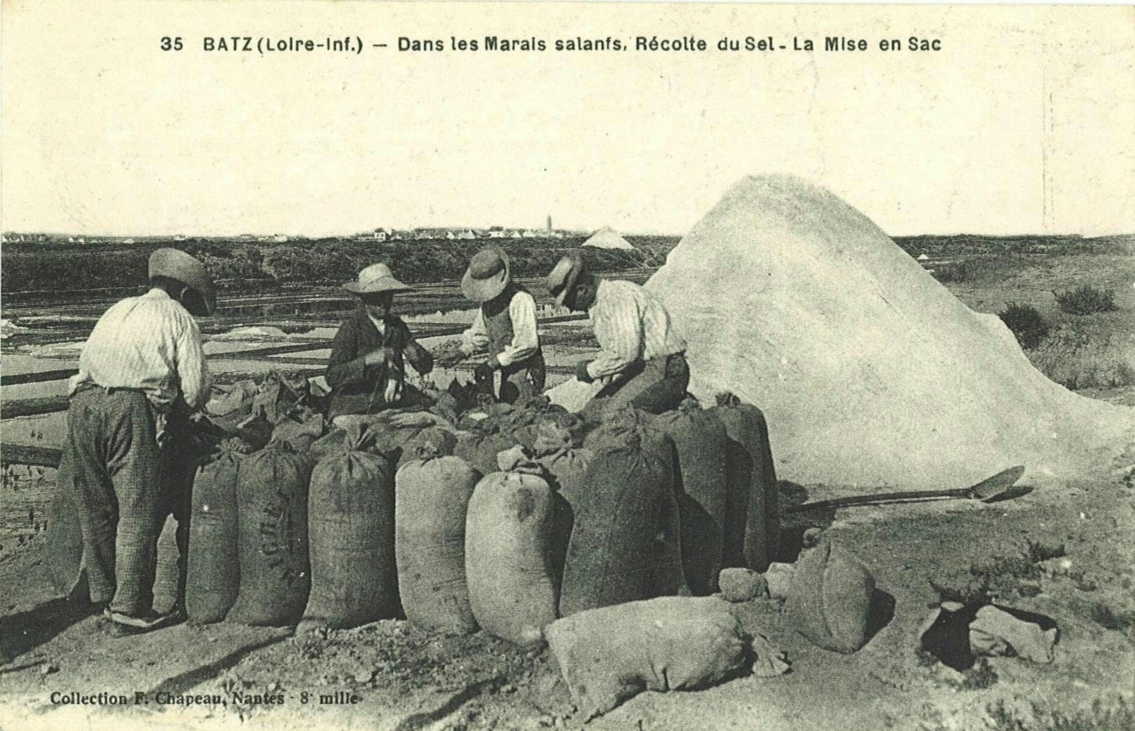 Postcard: paludiers fill sacks of salt beside a large heap.