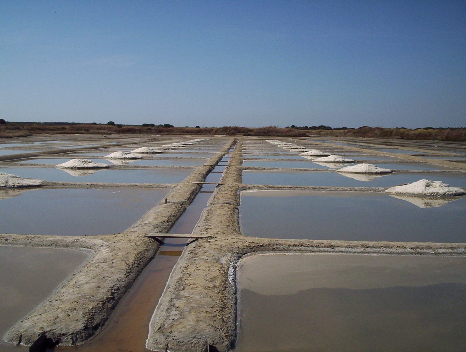 Photograph: the marsh pans under a blue sky, small white heaps along the banks.
