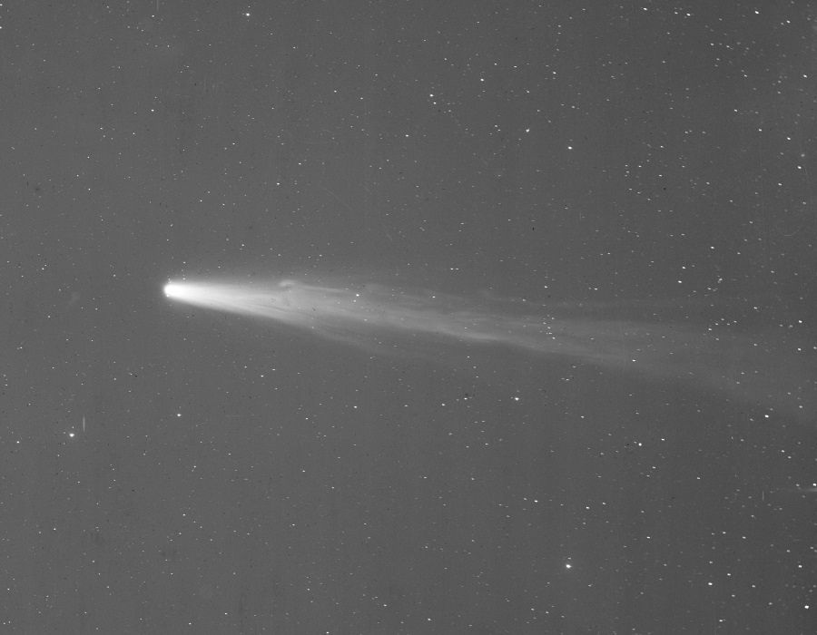 Photographic plate: a bright comet head with a long straight tail against a grainy star field.
