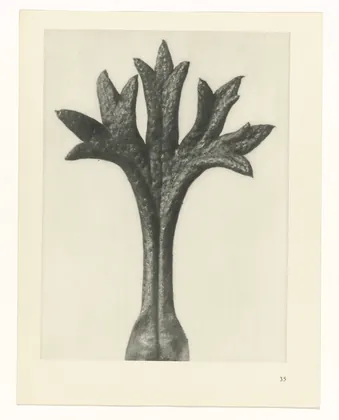 Plate 35