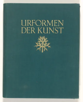The green cloth cover of Urformen der Kunst, 1928