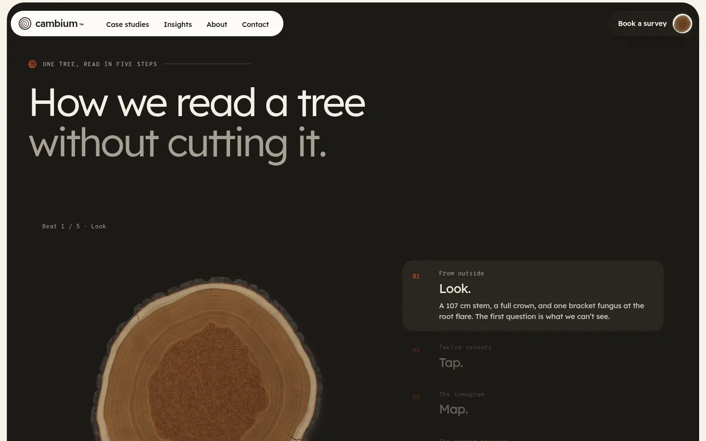 CAMBIUM, further down the home page