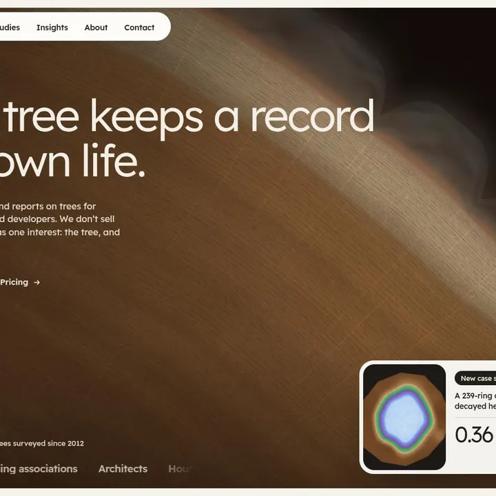 CAMBIUM: the first screen of the site