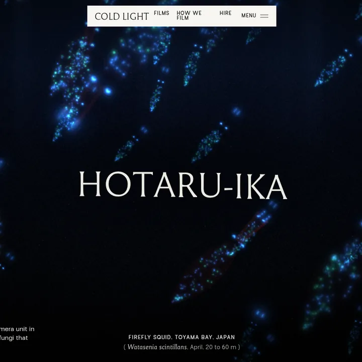 COLD LIGHT: the first screen of the site