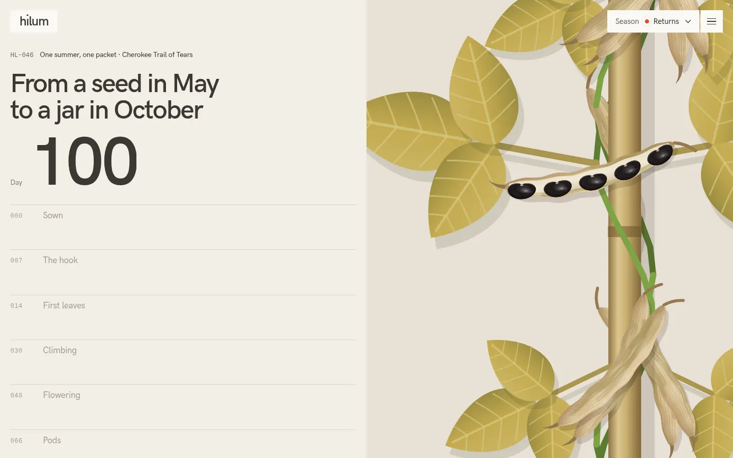 HILUM, further down the home page
