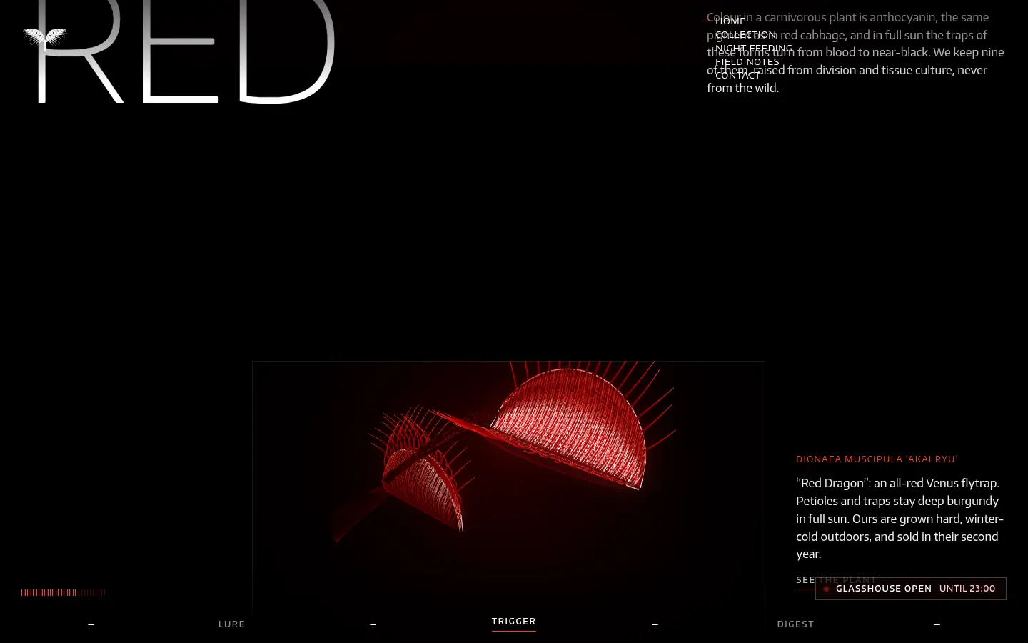 MUSCIPULA, further down the home page