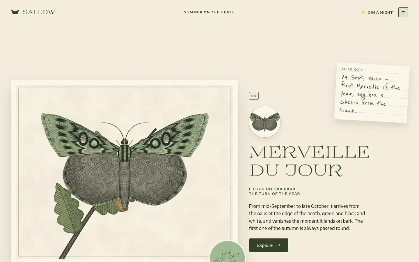 SALLOW, further down the home page