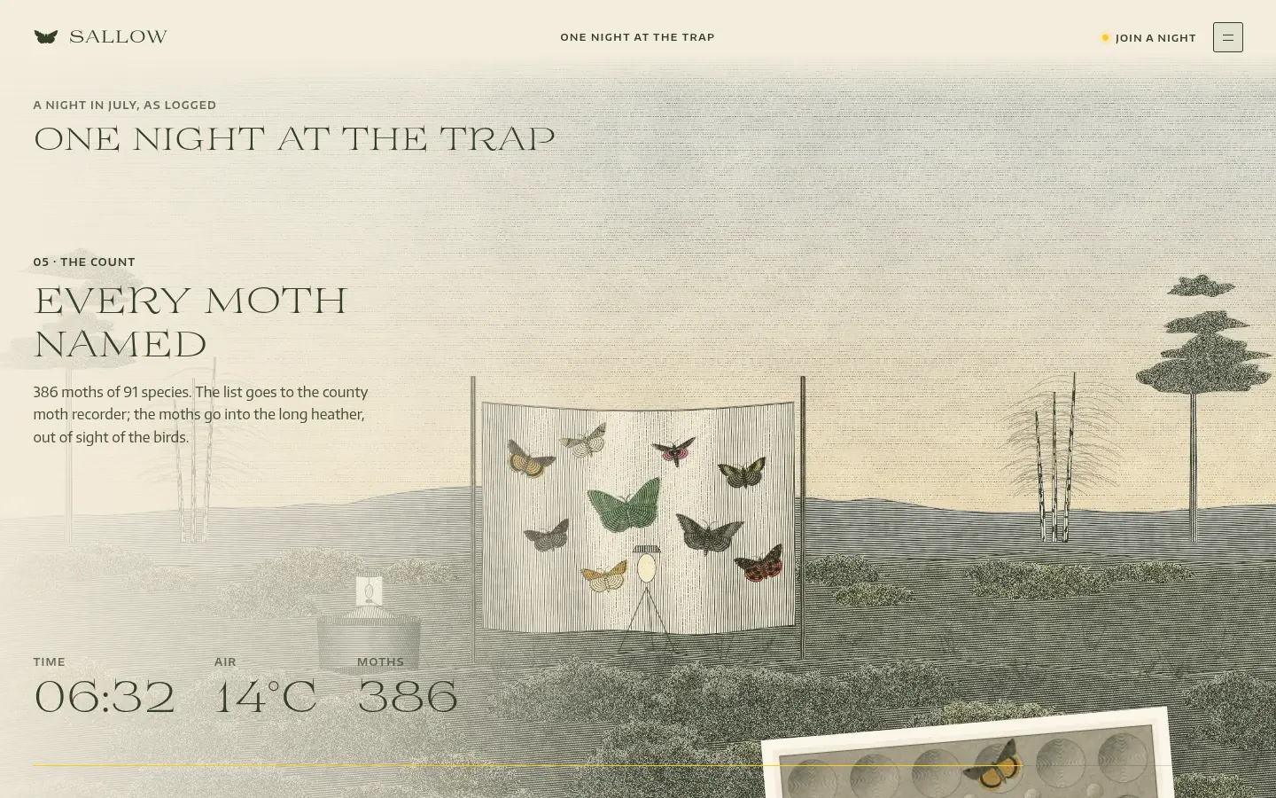 SALLOW, further down the home page