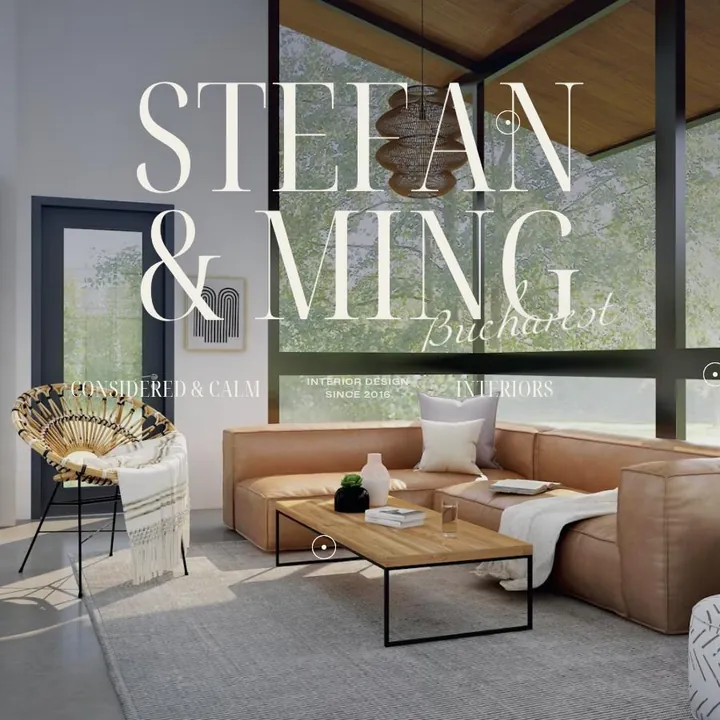 STEFAN & MING: the first screen of the site