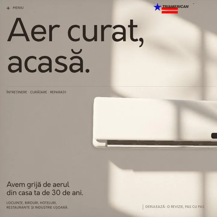 TRIAMERICAN „Porțelan”: the first screen of the site