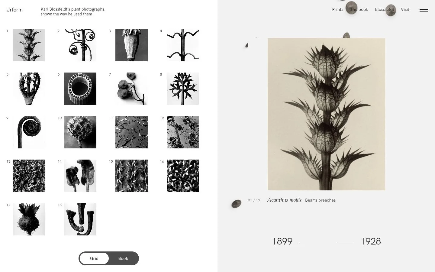 URFORM: the first screen of the site at 1440 by 900