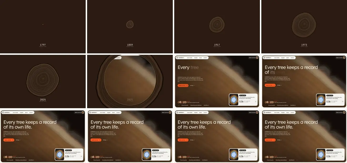 Twelve frames of CAMBIUM opening, left to right, top to bottom