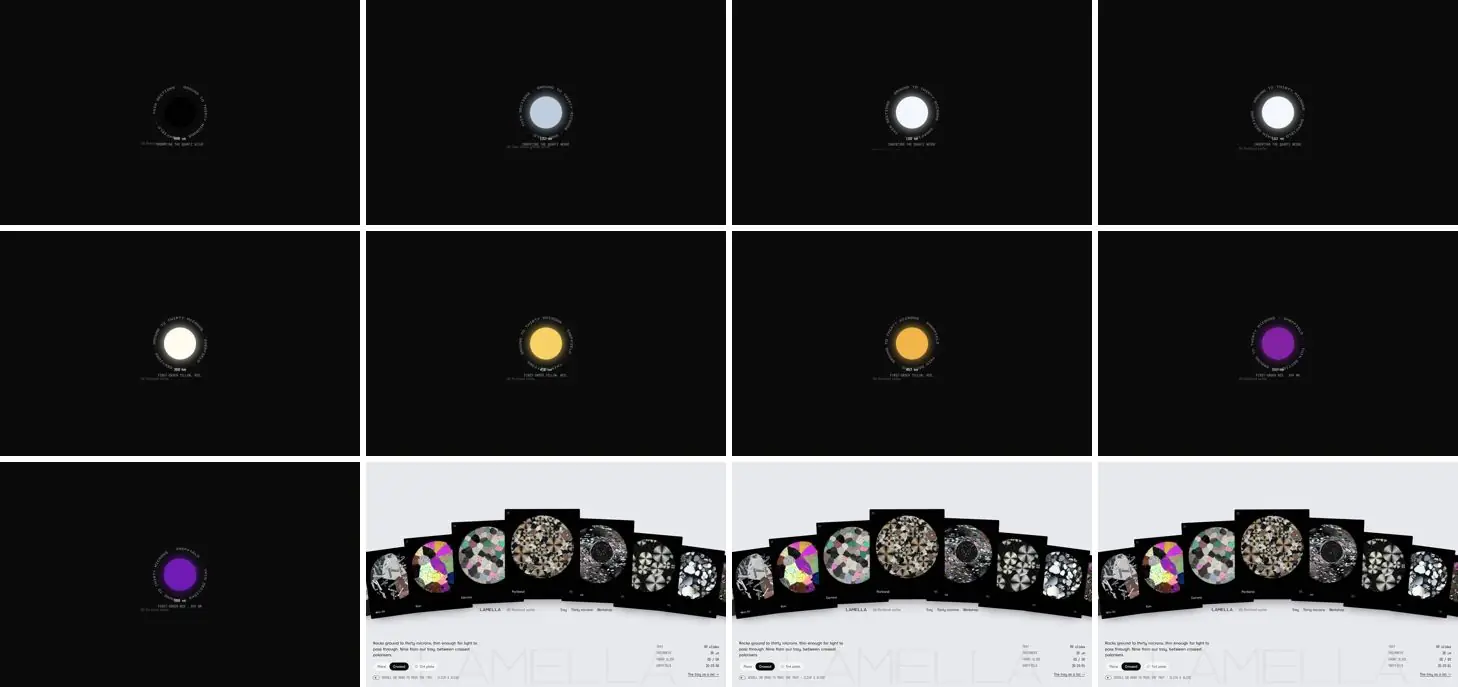 Twelve frames of LAMELLA opening, left to right, top to bottom