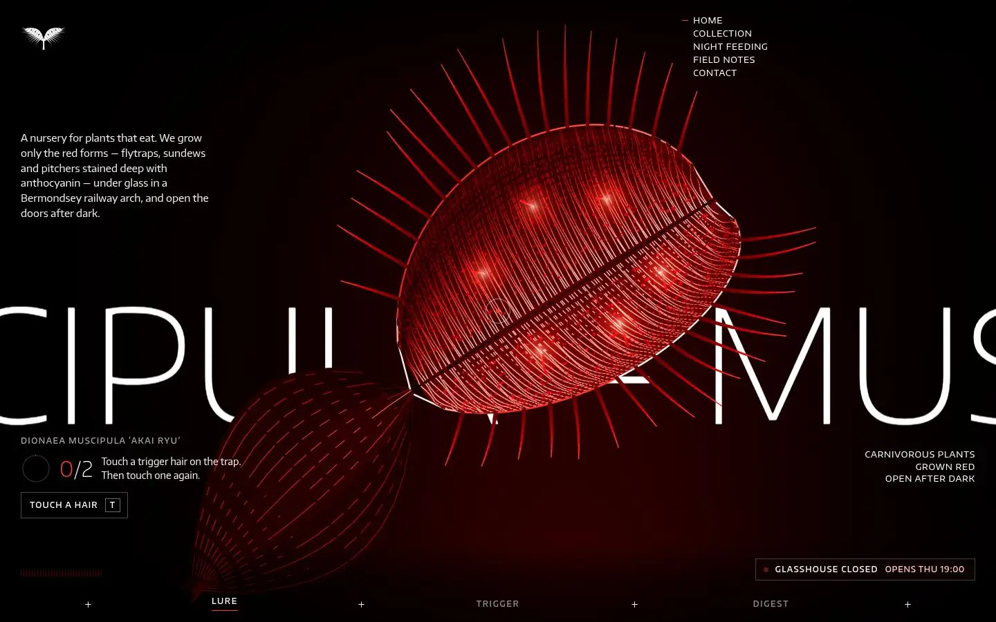 The first screen of MUSCIPULA