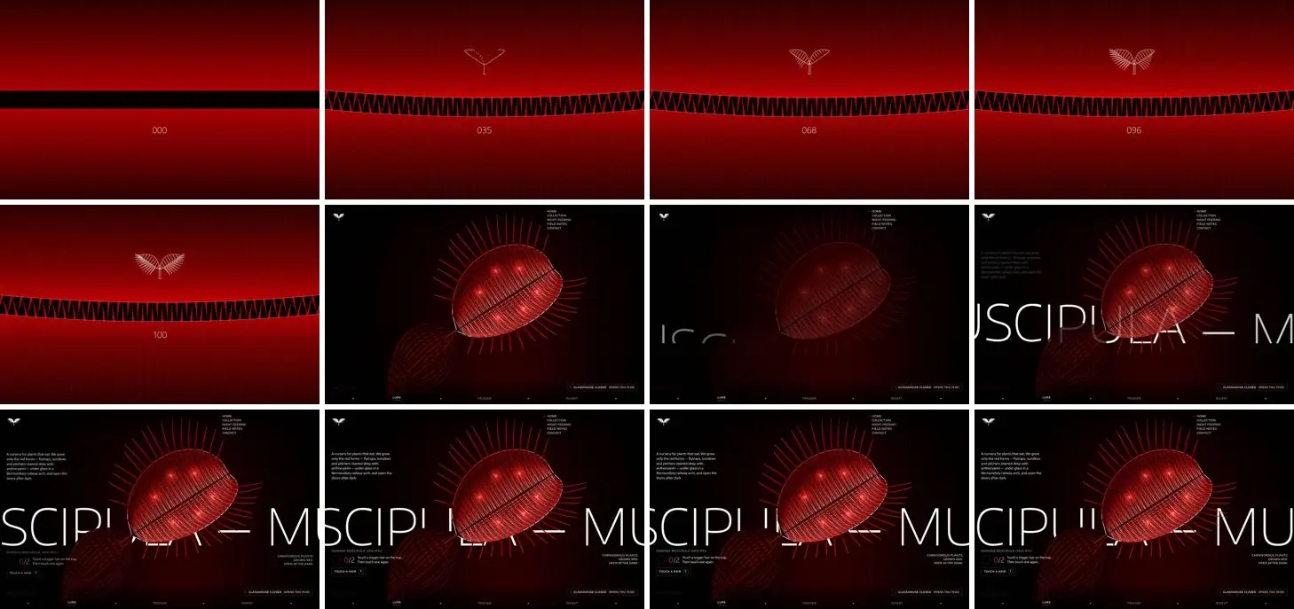 Twelve frames of MUSCIPULA opening, left to right, top to bottom