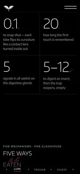 MUSCIPULA on a phone, screen 2