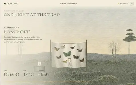 SALLOW, further down the home page