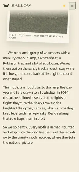 SALLOW on a phone, screen 2