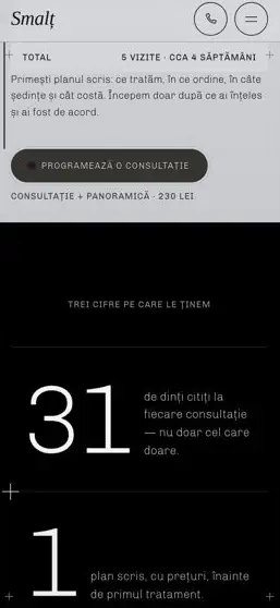 SMALȚ on a phone, screen 2