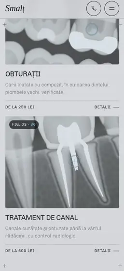 SMALȚ on a phone, screen 3