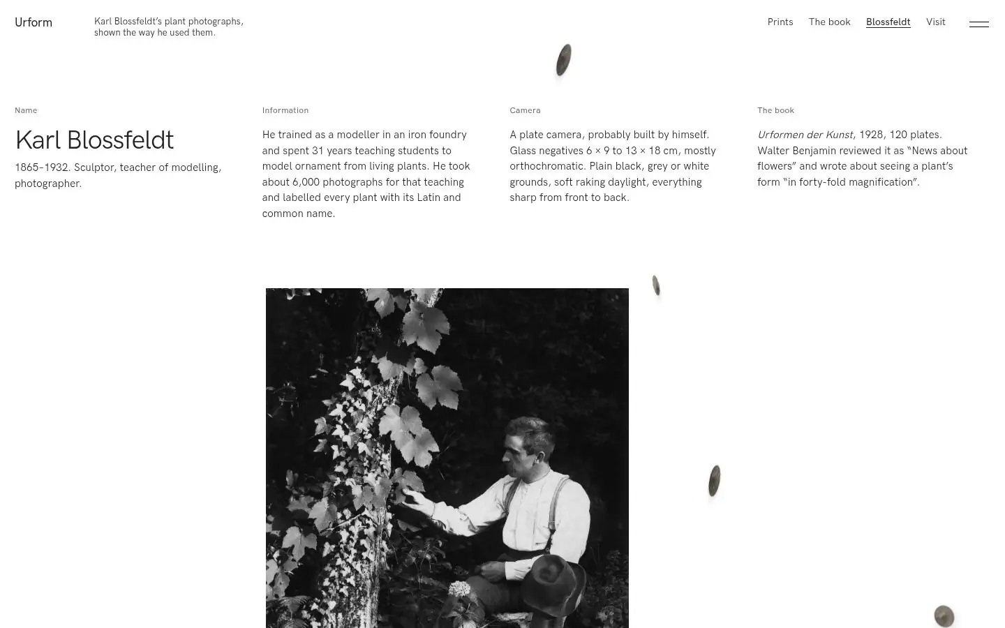 URFORM: the blossfeldt page