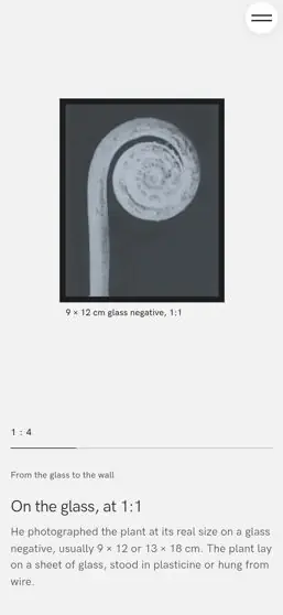 URFORM on a phone, screen 3