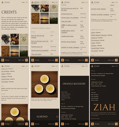The same page at phone width.