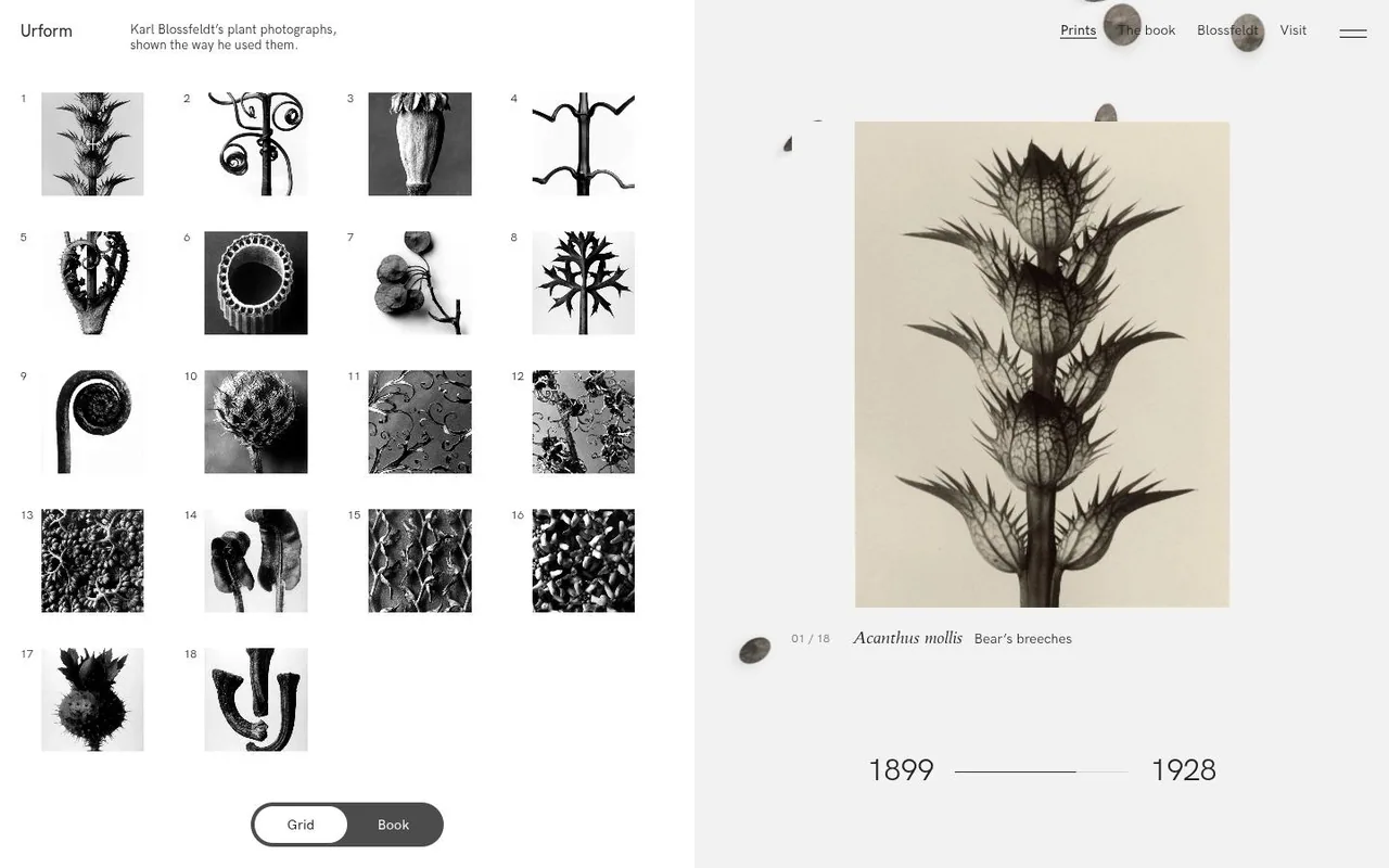 The top of URFORM as it looks in a browser.