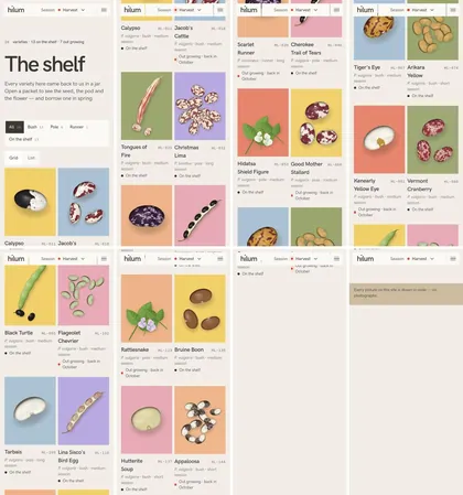 The same page at phone width.