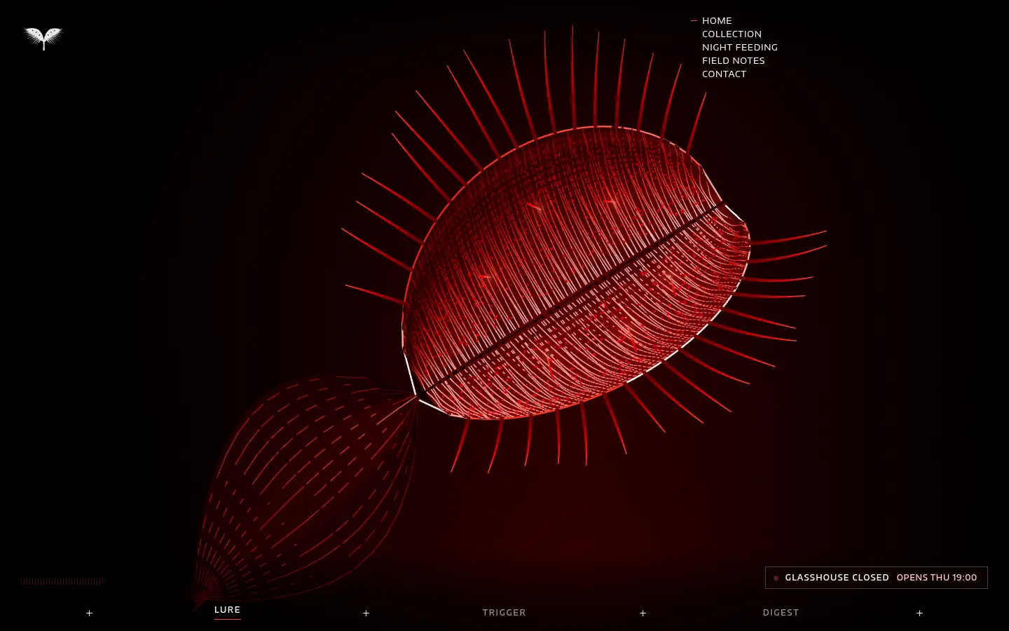 MUSCIPULA — full home page capture