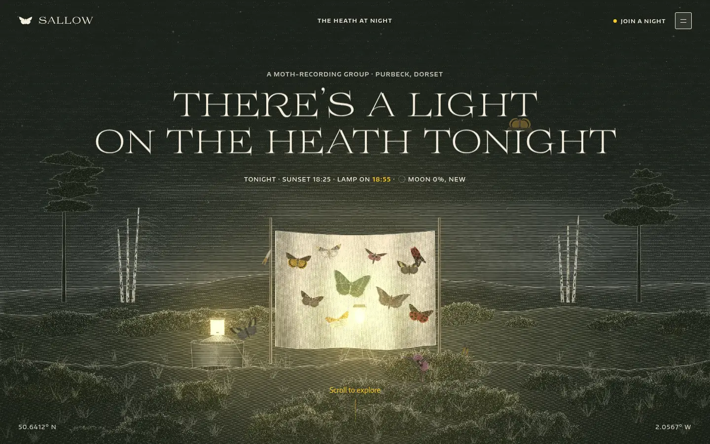 SALLOW — full home page capture