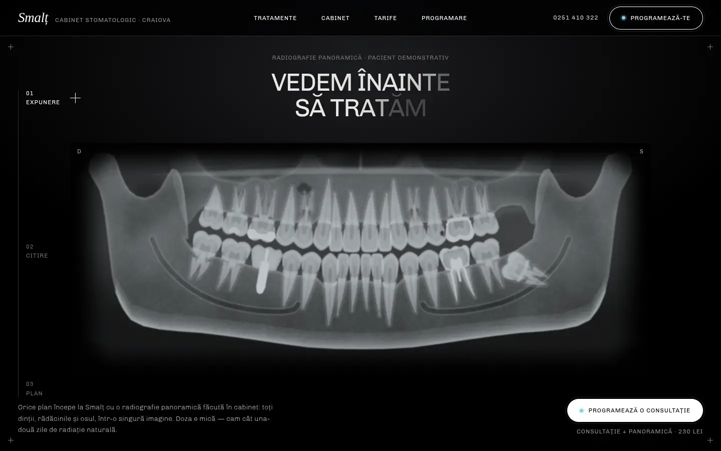 SMALȚ — full home page capture