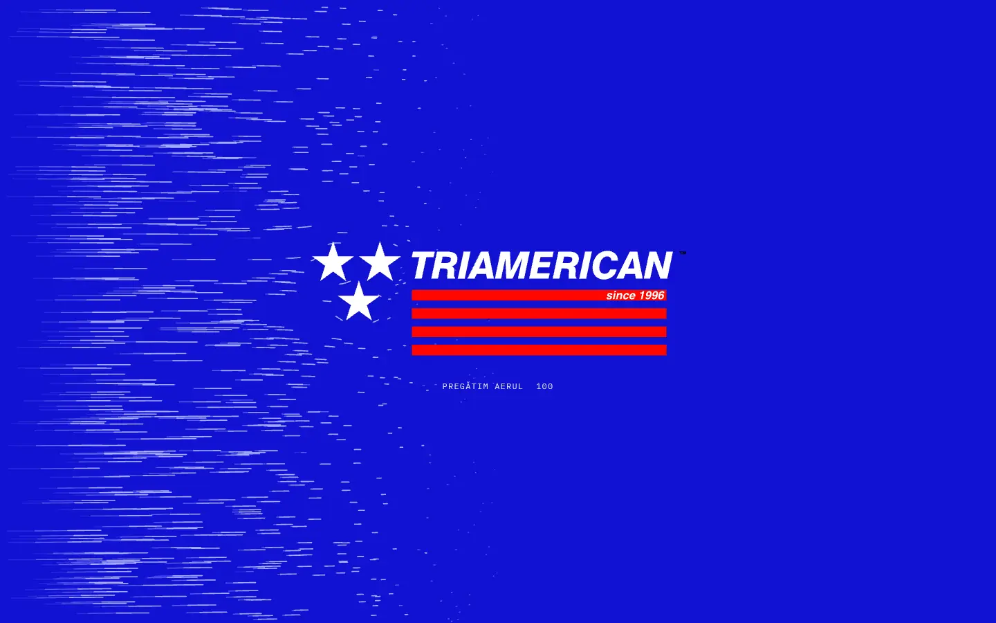 TRIAMERICAN — full home page capture