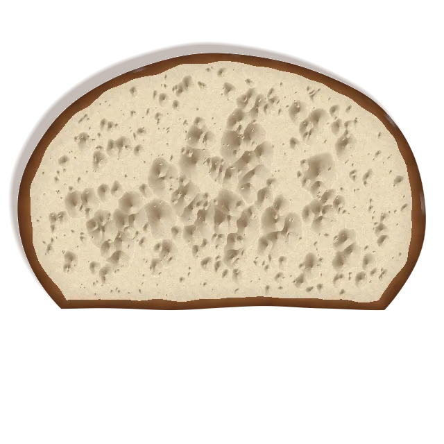 A slice of the Callowford sourdough: a dark crust and an open, irregular crumb