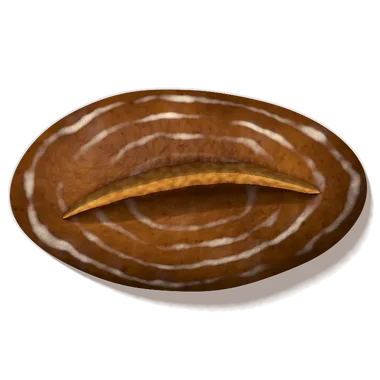 Wholemeal sourdough