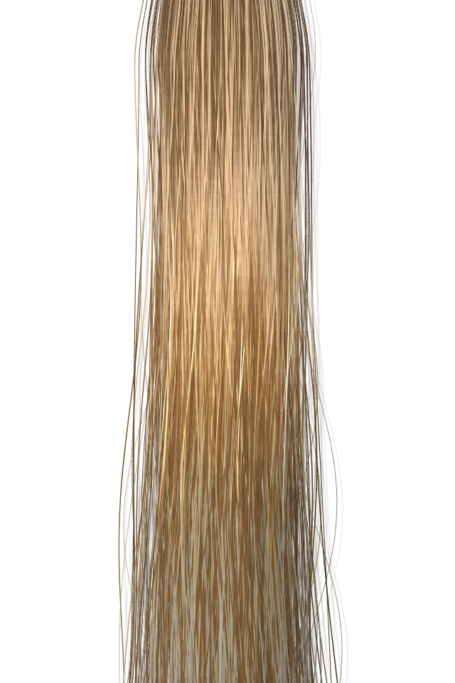 Priya Rowe: Balayage