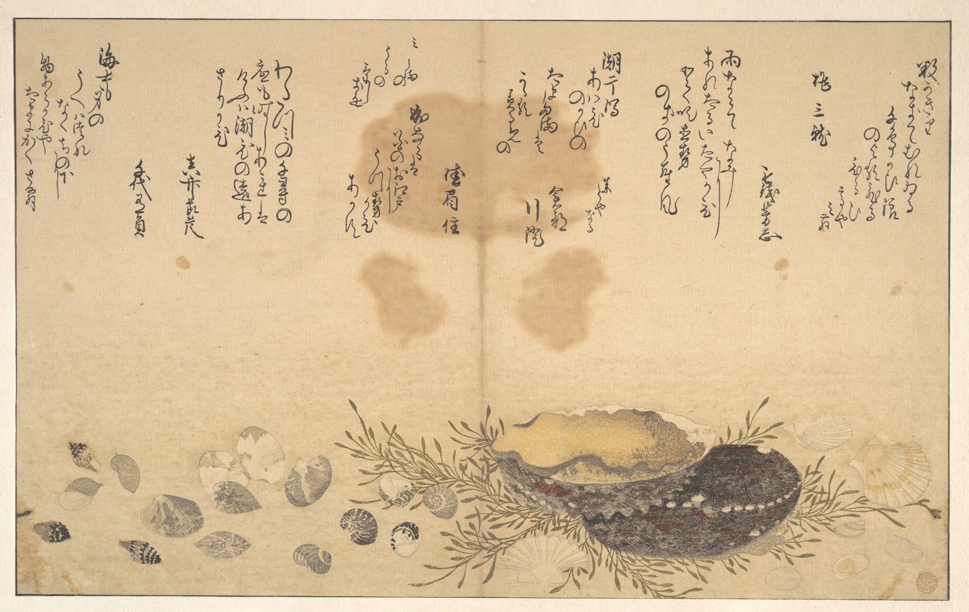 A page from Utamaro's shell book: shells and seaweed scattered along the sea floor, a short poem above in brushed calligraphy.