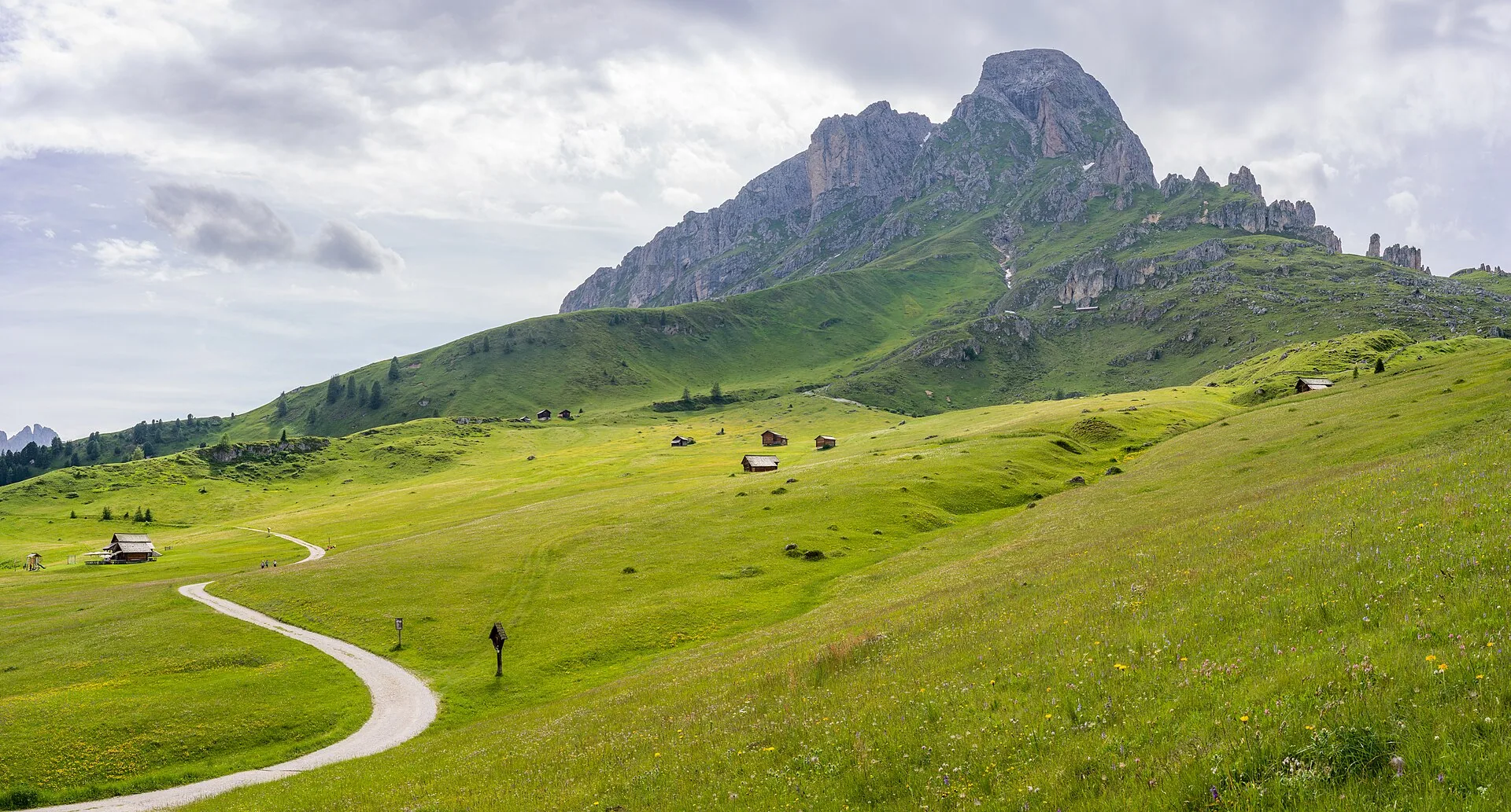 Green summer meadows and a path below the Peitlerkofel.