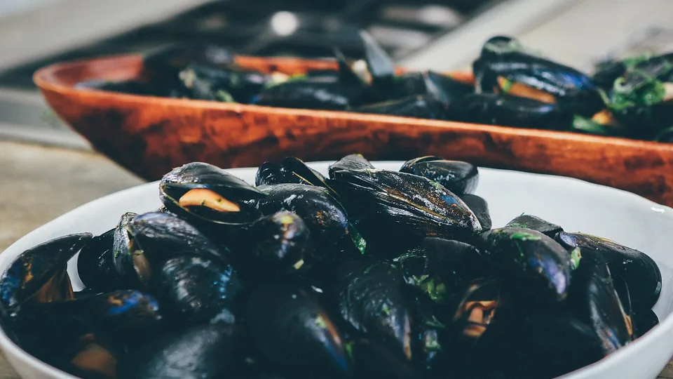 A bowl of mussels in their shells