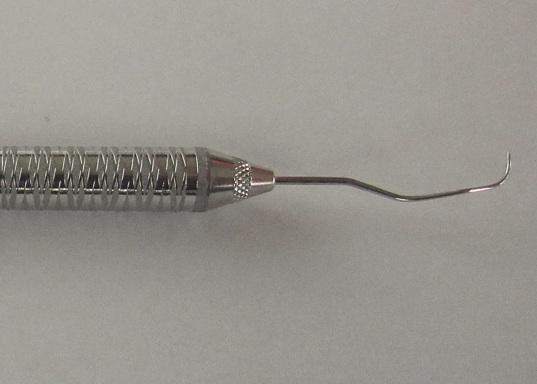 A dental explorer, the fine hooked probe used to check a tooth's surface